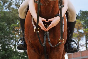Best purchase for equestrian sportsman