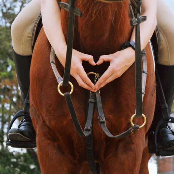 Best purchase for equestrian sportsman